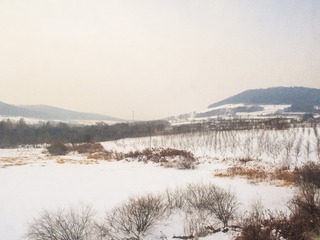 东北雪原72