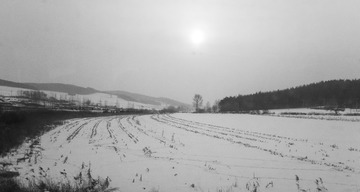 东北雪原51
