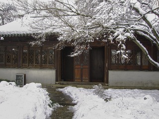 庭院喜雪