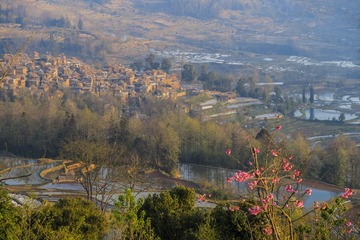 元阳哈尼梯田8