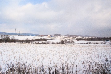 东北雪原12