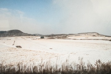 东北雪原19