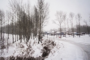 齐齐哈尔雪原3