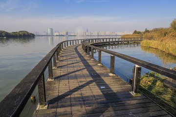 长广溪湿地风光7