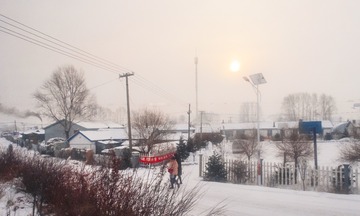 东北雪原24