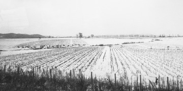 东北雪原14