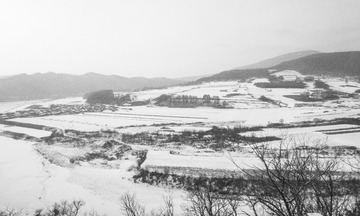 东北雪原56