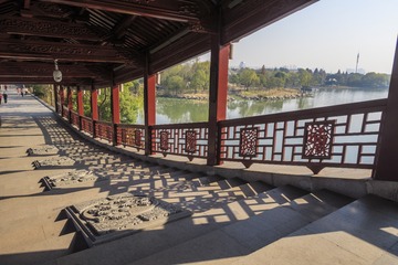 长广溪湿地风光2