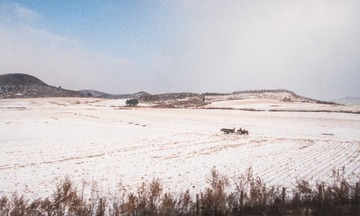 东北雪原20