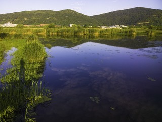 长广溪湿地4
