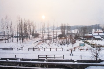 东北雪原25