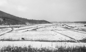 东北雪原15