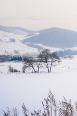 东北雪原48