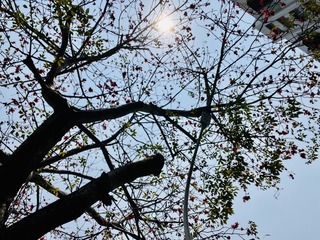 E8B304FD-4F4A-4831-B7F3-7B134D09B67B/L0/001