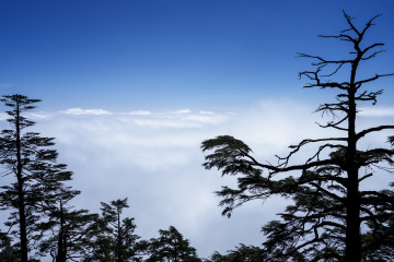 瓦屋山云海