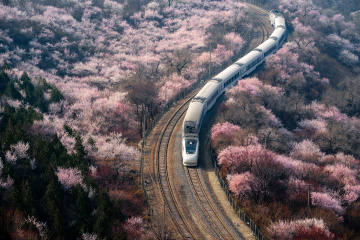 居庸关小火车来了