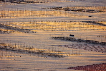 金色霞浦
