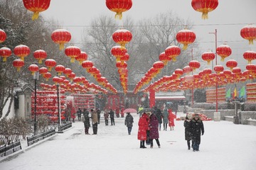 瑞雪迎新春