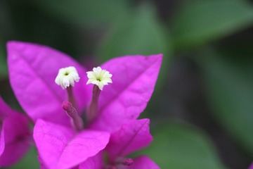 IMG_2024.JPG