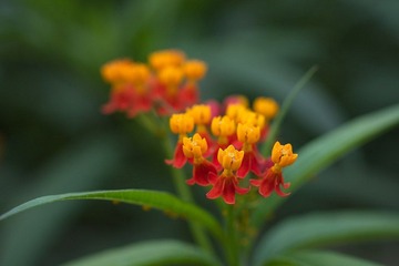 IMG_2322.jpg