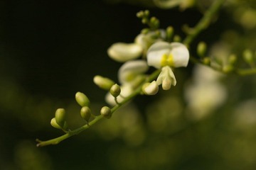 IMG_2326.jpg