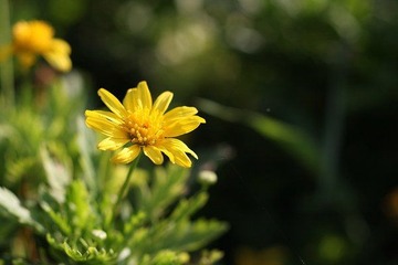 IMG_2143.JPG