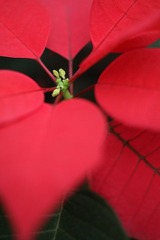 IMG_2087.JPG