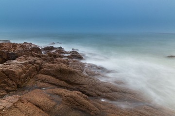 IMG_2621.jpg