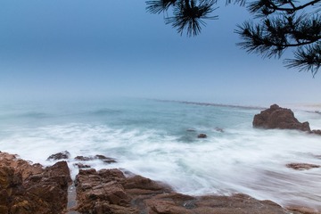IMG_2612.jpg
