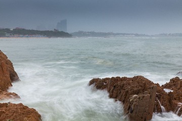 IMG_2721.jpg