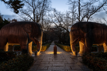 明孝陵神道的晨曦