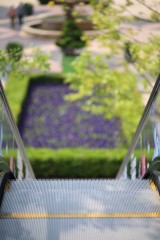 下去看花