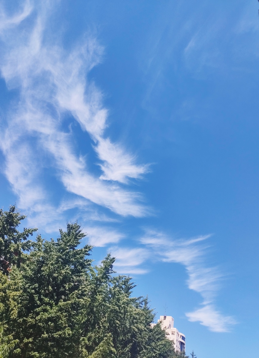 午后的天空,心里很美