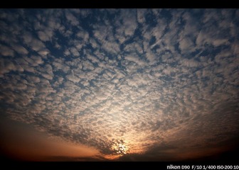 DSC_1512副本2.jpg