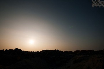 DSC_1560副本.jpg