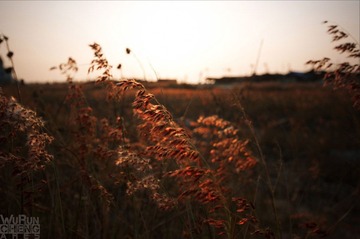 DSC_1600副本.jpg