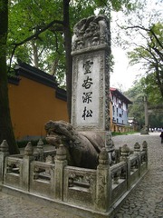 灵谷深松.JPG