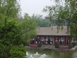 后花园一景.jpg