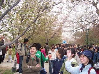 飘呀,飘呀…….jpg