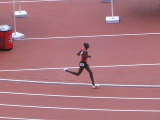 IMG_0684.jpg