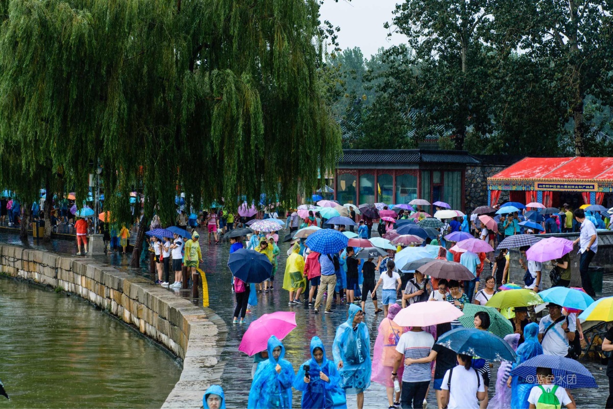 不由得感慨,一个人打伞够不成美,一群人打伞却可以这么美丽.