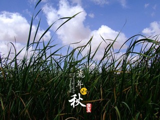 DSCF1144.jpg