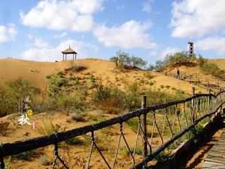 DSCF1248.jpg