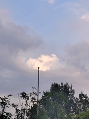 35918