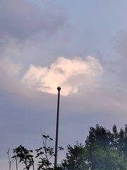 35919