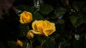 _MG_5663.jpg