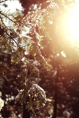 _MG_2785.JPG