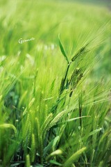 IMG_4510副本.jpg