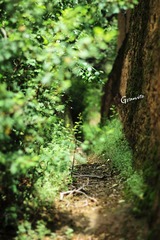 IMG_4535副本.jpg