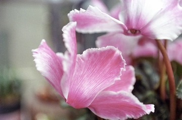 111573EF-BE29-4F80-8F97-146A6B6878C8/L0/001